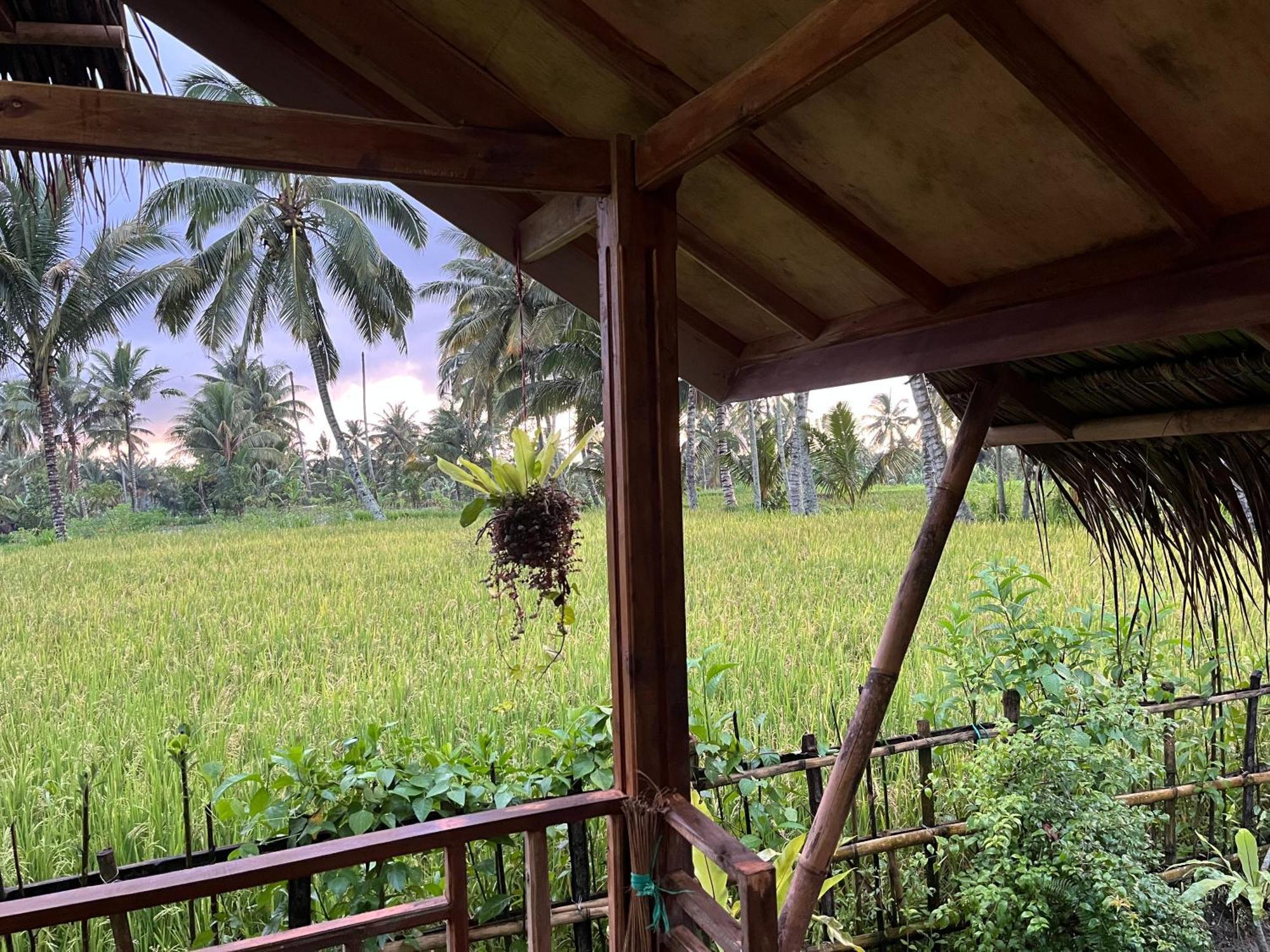 טטבאטו Syaqila Homestay Lombok מראה חיצוני תמונה