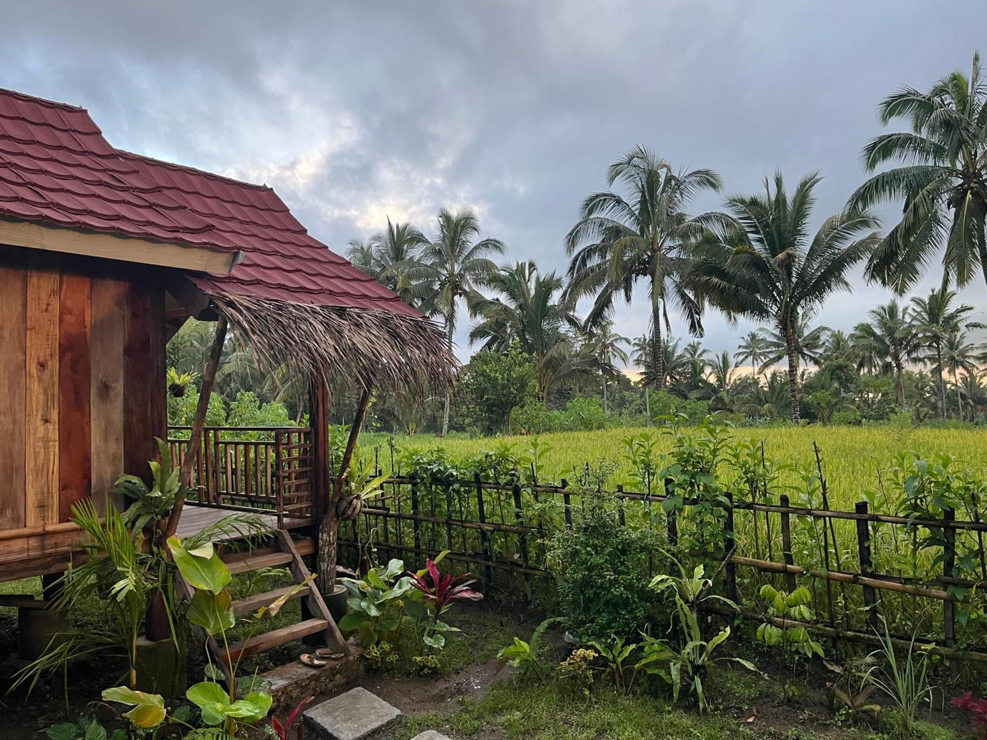 טטבאטו Syaqila Homestay Lombok מראה חיצוני תמונה