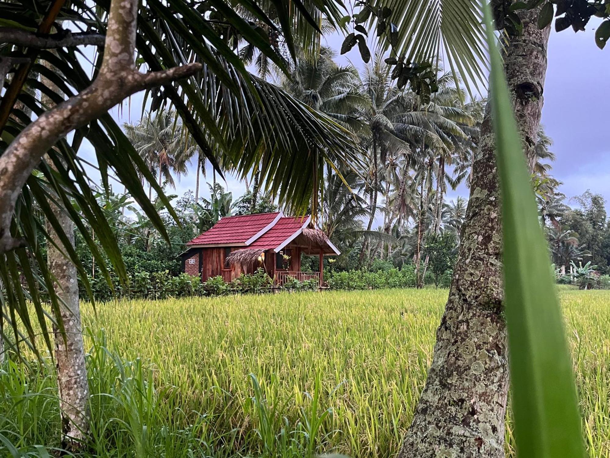 טטבאטו Syaqila Homestay Lombok מראה חיצוני תמונה