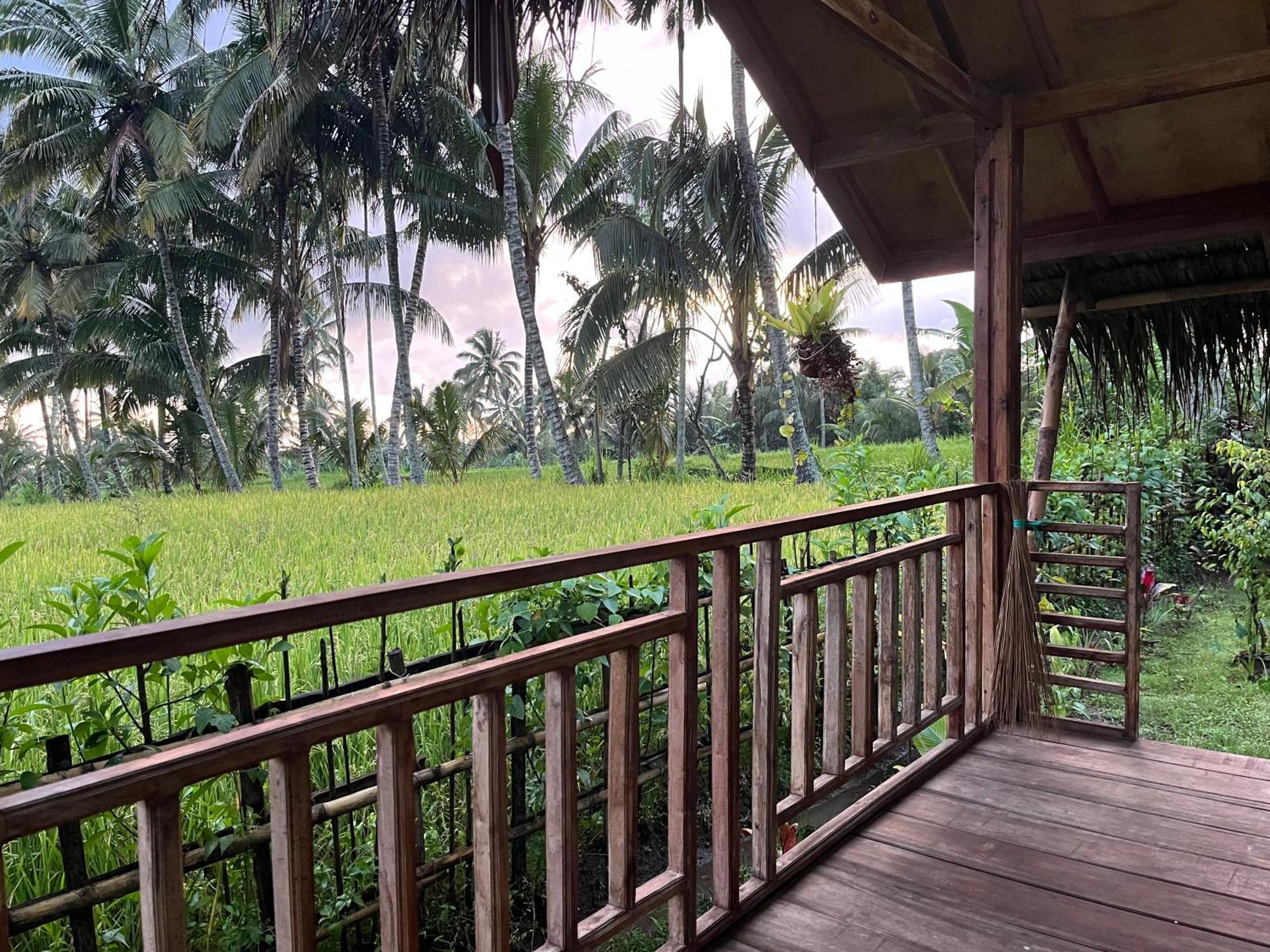 טטבאטו Syaqila Homestay Lombok מראה חיצוני תמונה