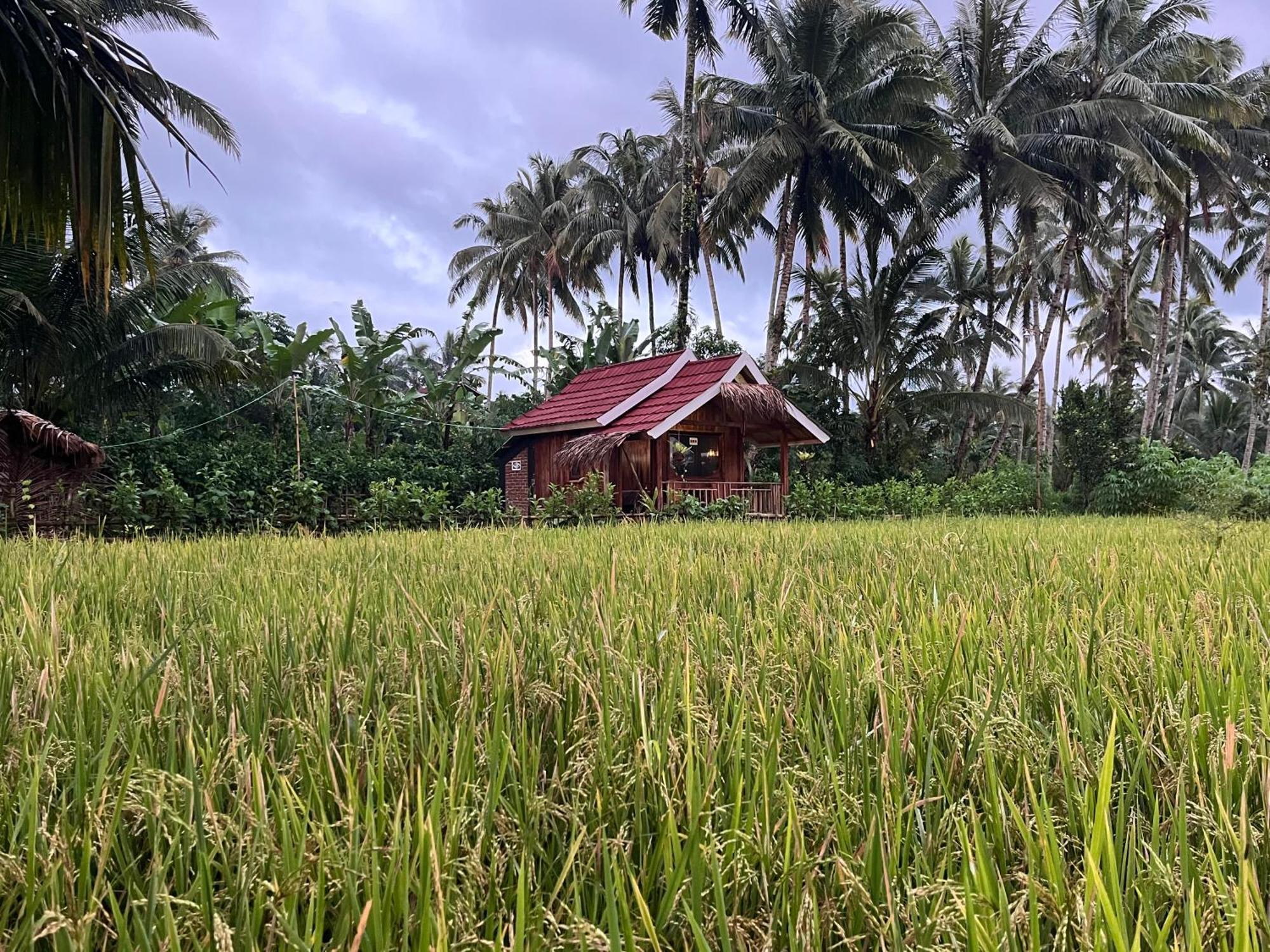 טטבאטו Syaqila Homestay Lombok מראה חיצוני תמונה